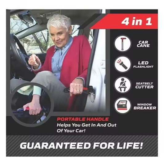 5 in 1 Vehicle Support Handles